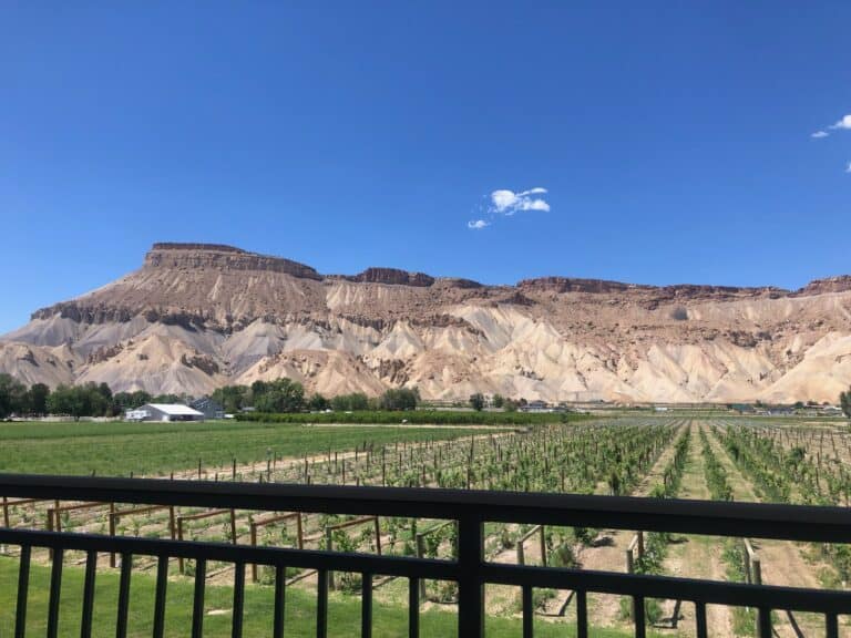 Palisades Colorado