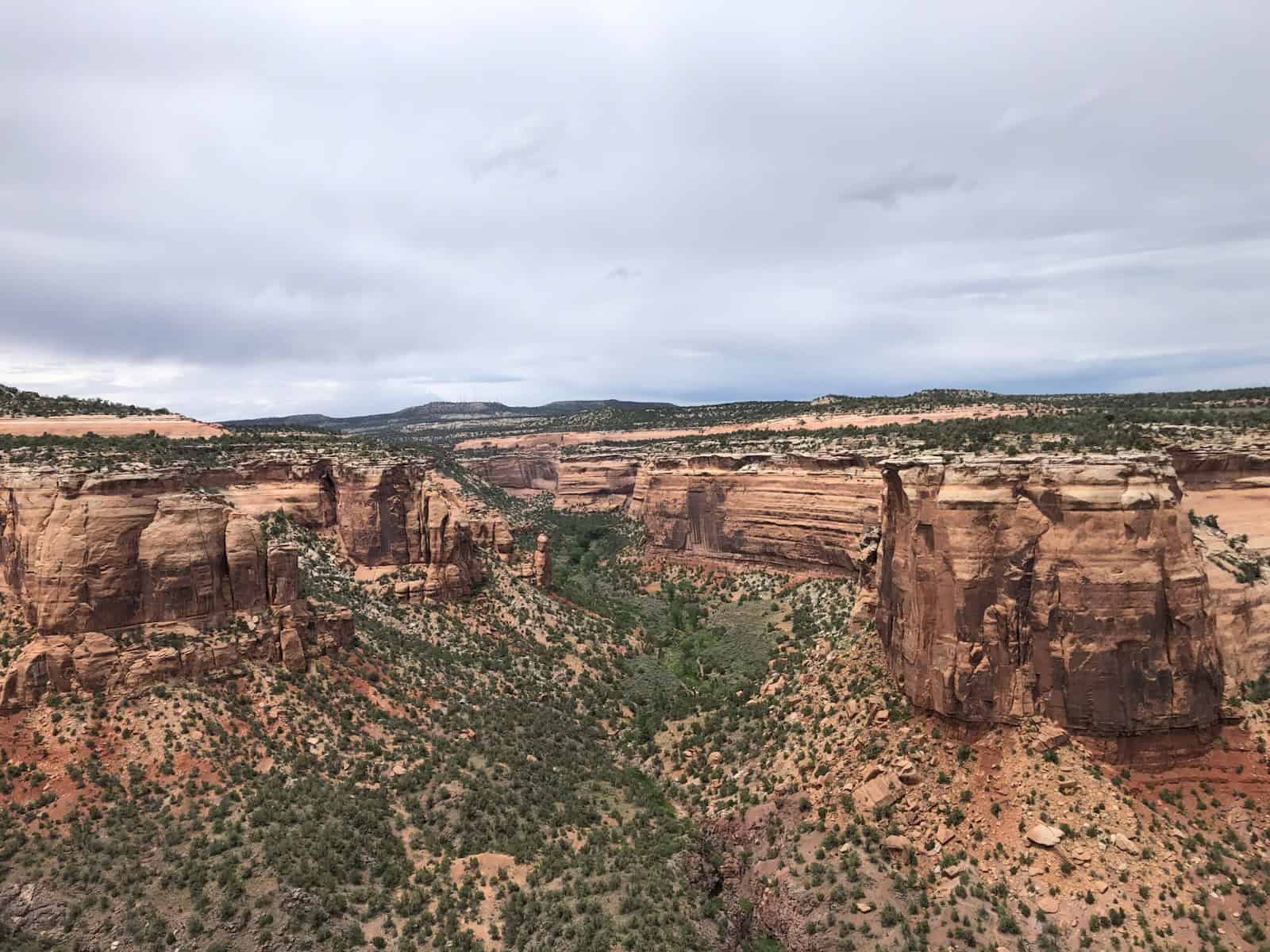 Fruita Colorado